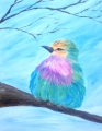 Colorful Bird